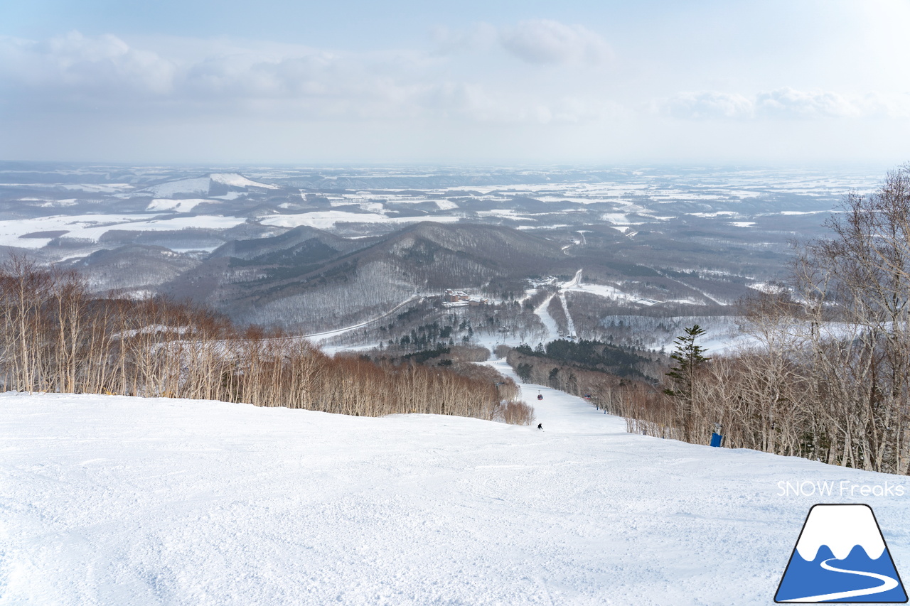 十勝サホロリゾート｜あの記録的な大雪から１週間…。ゲレンデのコンディションは、この上ないほど良好です(^^)v